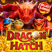 PG Soft Dragon Hatch